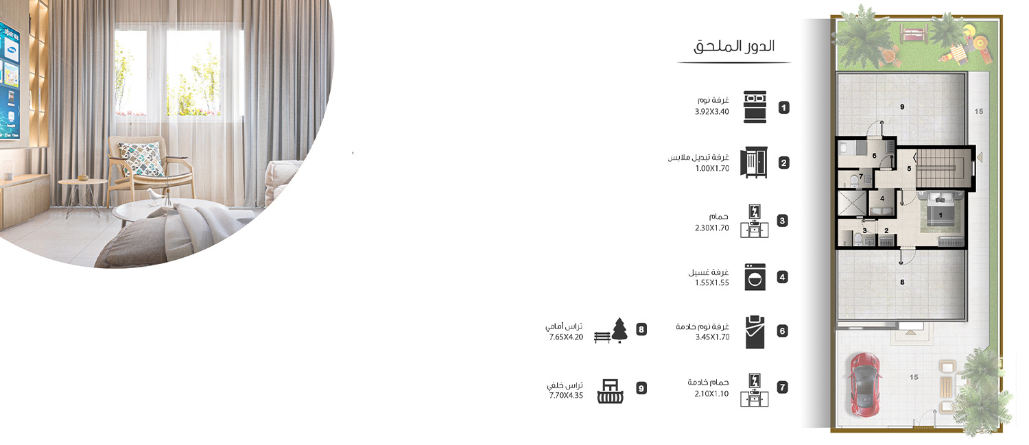 مرجان - السطح