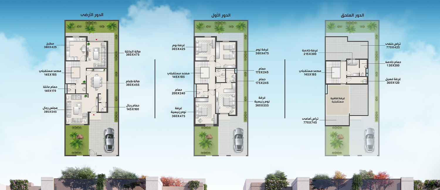 نموذج الجوري/التوليب
